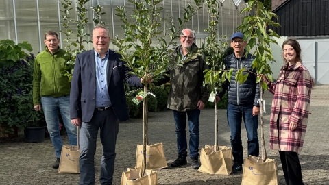 Fünf Personen, die einen Baum halten. 