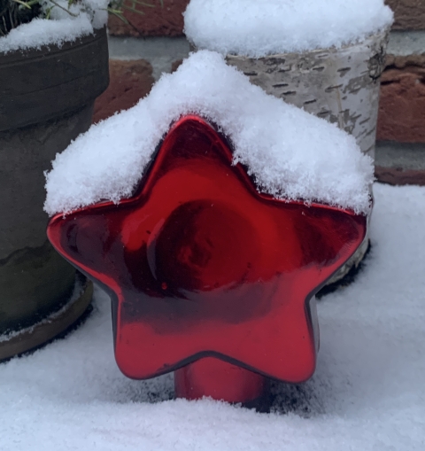 Bild zeigt einen roten Stern im Schnee