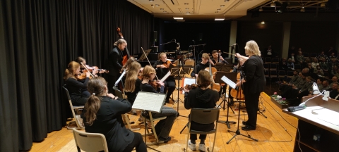 Streichensemble beim Spielen