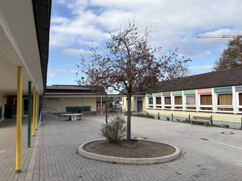 Hof mit Baum