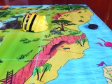 BeeBot auf Landkarte