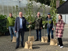 Fünf Personen, die einen Baum halten. 