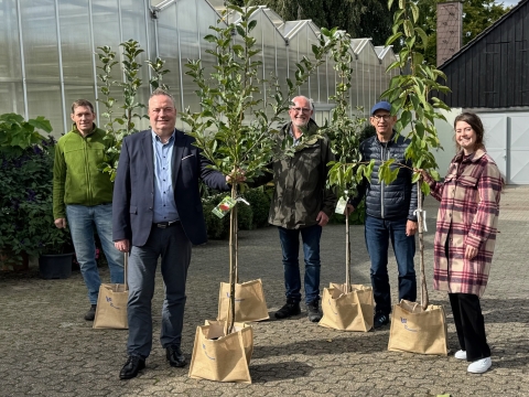 Fünf Personen, die einen Baum halten. 