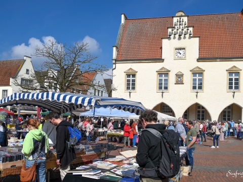 Markt mit Bücherständen 