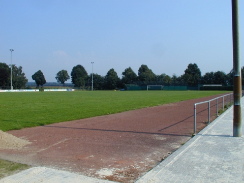 Sportrasenfläche