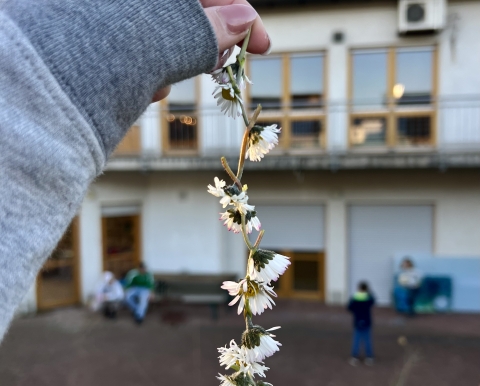 Ein Kind hält eine Kette aus Blumen in der Hand und hält sie vor das Trigon