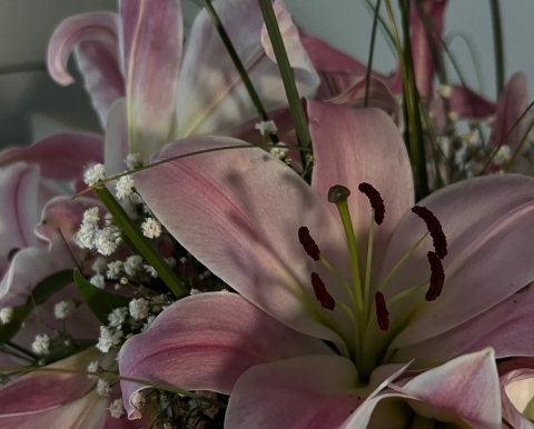 Lilienblumenstra0ß
