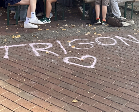 Kreideschritzug Trigon 