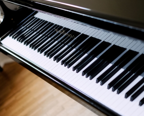 Foto zeigt einen schwarzen Flügel